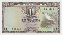 Zambia / Sambia: 10 Shillings ND(1964), P.1 In Perfect UNC Condition - Zambie