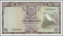 Zambia / Sambia: 10 Shillings ND(1964), P.1 In Perfect UNC Condition - Zambia