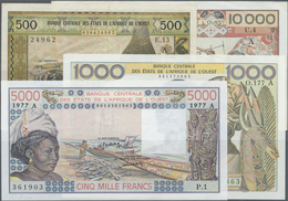 Ivory Coast / Elfenbeinküste: Large Lot About 540 Banknotes Only IVORY COAST Letter "A" West African - Ivoorkust