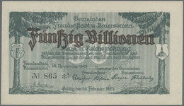 Deutschland - Notgeld - Württemberg: Freudenstadt Und Baiersbronn, Gemeinden, 500 Mrd., 1, 2 X 5, 10 - [11] Emissioni Locali