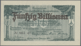 Deutschland - Notgeld - Württemberg: Freudenstadt Und Baiersbronn, Gemeinden, 500 Mrd., 1, 2 X 5, 10 - [11] Local Banknote Issues