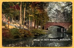 Bussum - Brug In Het Bosch - Pont - Carte Glacée Et Colorisée - Bussum