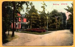 Bussum - Meerweg - 1917 - Glacée Et Colorisée - Bussum