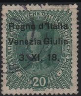 1918 Francobolli D'Austria Venezia Giulia Terre Redente 20 H. US - Trentino