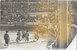 SCENE DE CORRIDA ARENES Carte Photo Belle Animation - Corridas