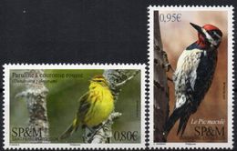 St Pierre & Miquelon 2018 - Oiseaux Paruline à Couronne Rousse, Le Pic Maculé - 2 Val Neufs // Mnh - Ungebraucht