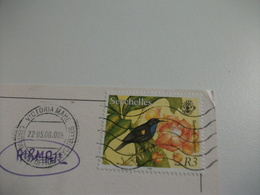 STORIA POSTALE FRANCOBOLLO COMMEMORATIVO UCCELLO BIRD SEYSHELLES BEACH ON MAHE - Seychelles