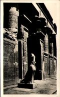 LEDFU - Sacred Hawk Of Horus And The Hall Of The Temple - Edfou