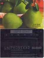 VIETNAM. Grapefruit (Pomelo). 1998-05. 13UPVB (003) - Viêt-Nam
