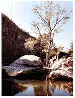 (223) Australia - SA - Nooldoonooldoona Waterhole - Sonstige & Ohne Zuordnung