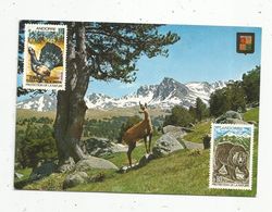 Cp , Timbres , Représentation , Andorre , Protection De La Nature , Valls D'Andorra , Vall D'Envalira , Vierge - Stamps (pictures)