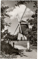 Schoorl Oude Molen - & Windmill - Schoorl