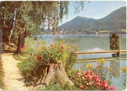 Autriche - Am Klopeinersee In Kärnten - Franz Schilcher Nº 45 - Ecrite - - Klopeinersee-Orte