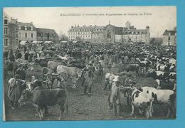 CPA - Marché Aux Bestiaux Maquignons Champ De Foire Couvent Des Augustines MALESTROIT 56 - Malestroit