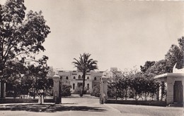 NIAMEY. - Le Palais Du Gouverneur. CPSM 9x 14 - Niger