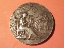 RARE MÉDAILLE BRONZE ARGENTE GRAVEUR F.VERNON HORTICULTURE CAEN CALVADOS 47 Mm 20 Grammes - Altri & Non Classificati