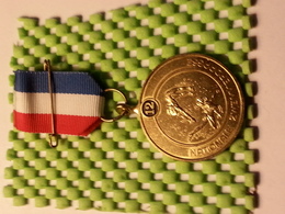 Medaille - Nationale Zwemvierdaagse 12 - Other & Unclassified