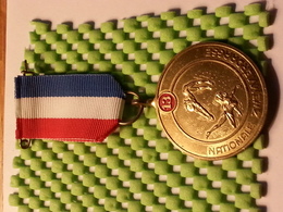 Medaille - Nationale Zwemvierdaagse 13 - Andere & Zonder Classificatie