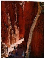 (44) Australia - NT - Standley Chasm - The Red Centre