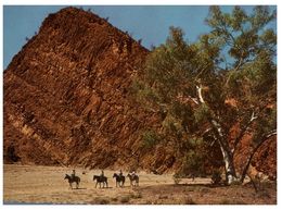 (44) Australia - NT - Bloomfield Bluff (with Horse) - Alice Springs