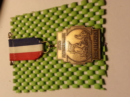Medaille  / Medal - Avond Fietsvierdaagse  /Evening Cycling Four Days  Zuid Berghuizen Oldenzaal "1985 - The Netherlands - Radsport