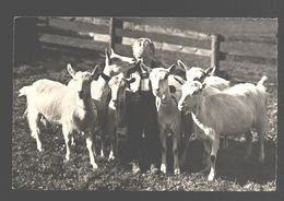 Engelberg (ausgesandt) - Junge Mit Ziegen / Garçon Avec Des Chèvres / Boy With Goats / Geit - Animiert - Saint-Imier 