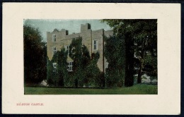 RB 1185 - Early Postcard - Dilston Castle Near Corbridge Northumberland - Otros & Sin Clasificación