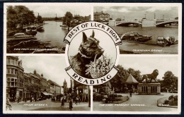 RB 1186 - 1940 Real Photo Scottie Dog Postcard - Reading Berkshire - Friar Street & Others - Reading