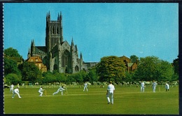 RB 1186 -  Sports Postcard - Cricket Match Overlooking Worcester Cathedral Worcestershire - Otros & Sin Clasificación