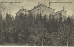 Environs D' Erquelinnes -- Château De Montignies - St - Christophe. - Thuin