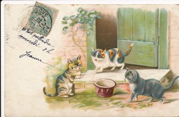 CPA Chats Chromo Chatons Gamelle Repas - Gatti