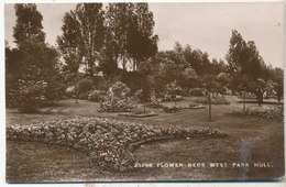 Flower Beds, West Park, Hull - Hull