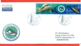 New Caledonia 2002. Whales.The Envelope Actually Passed The Mail. - Brieven En Documenten