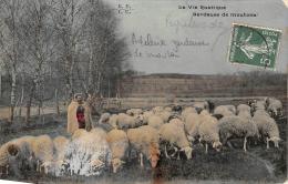 Peyrelevade       19     Adeline (identifiée Par Les Locaux)  Gardeuse De Moutons        (voir Scan) - Andere & Zonder Classificatie