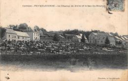 Peyrelevade        19       Le Champ De Foire       (voir Scan) - Other & Unclassified