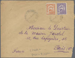 Br Französisch-Indochina: 1929. Envelope (roughly Opened At Right/faults) Addressed To Paris Bearing Fr - Brieven En Documenten