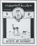 Kuwait: 1960. Lot Of 9 Different Black And White ESSAY PHOTOS (several Times Each) With The Correspo - Kuwait