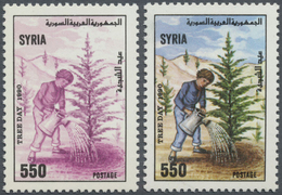 ** Syrien: 1990, Tree Day 550p. 'boy Waters Tree' Printed In BLACK And RED Only With All Other Colours - Siria