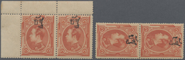 */** Thailand: 1889, 1a. On 1sio Red, 17 Mint Copies, A Fresh Unused Block Of Thirteen (partly Separated) - Thaïlande