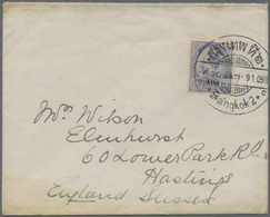 Br Thailand: 1909, 9a. On 10a. Ultramarine, Two Covers With Single Franking Each, From "Bangkok 2" To H - Thailand