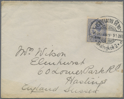 Br Thailand: 1909, 9a. On 10a. Ultramarine, Two Covers With Single Franking Each, From "Bangkok 2" To H - Tailandia