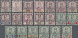**/* Malaiische Staaten - Johor: 1904-10 Sultan Sir Ibrahim Complete Set Of 17 Up To $100 Plus Three Valu - Johore