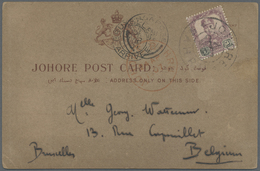 Malaiische Staaten - Johor: 1907 (24.4.), Johore Post Card Bearing Single 'Sultan Sir Ibrahim' 3c. P - Johore