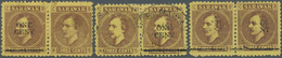 (*)/O Malaiische Staaten - Sarawak: 1892, Sir Charles Brooke 3c. Brown On Yellow Three Horizontal Pairs In - Autres & Non Classés