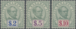 ** Malaiische Staaten - Sarawak: 1888, Sir Charles Brooke Set Of Three Prepared For Use But NOT ISSUED - Andere & Zonder Classificatie