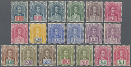 **/* Malaiische Staaten - Sarawak: 1918, Sir Charles Vyner Brooke Complete Set Incl. Several Additional S - Andere & Zonder Classificatie