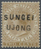 * Malaiische Staaten - Sungei Ujong: 1881 2c. Brown, Wmk Crown CC, Overprinted "SUGEI/UJONG" Of Types - Sonstige & Ohne Zuordnung