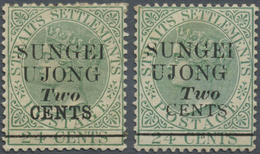 * Malaiische Staaten - Sungei Ujong: 1891 QV 2c. On 24c. Green, Two Singles Additionally Overprinted " - Sonstige & Ohne Zuordnung