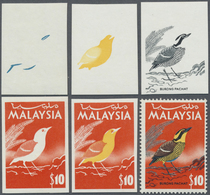 ** Malaysia: 1965, Birds $10 'Blue-tailed Pitta' (Pitta Guajana) In Five Different Imperforate PROGRESS - Maleisië (1964-...)