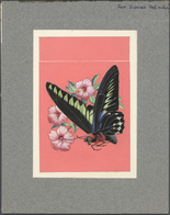 Malaysia: 1970, Butterflies $2 'Trogonoptera Brookiana Albescens' ORIGINAL ARTWORK (88 X 128mm) Affi - Malesia (1964-...)